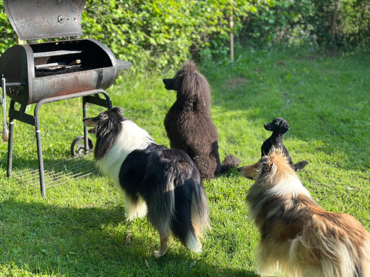 Kesäterveiset grillin äärestä