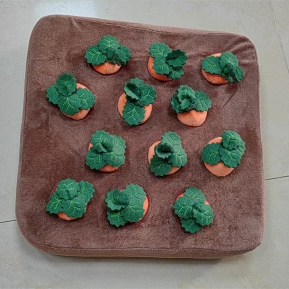 Porkkana piilo